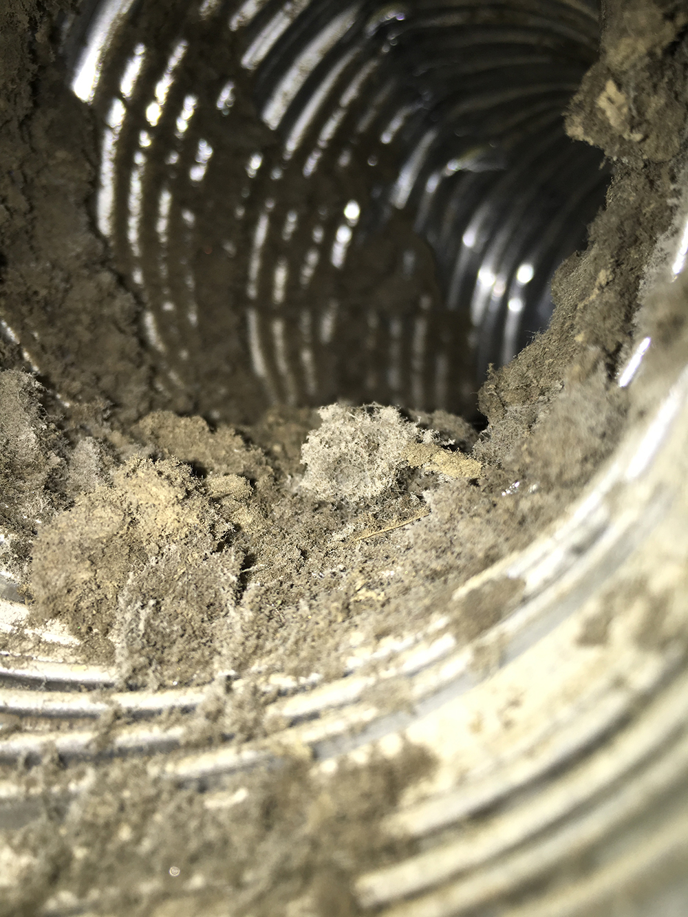 venti_1000px